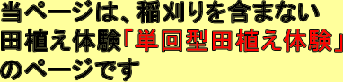 単回型田植え体験