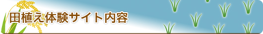 田植え体験サイト内容