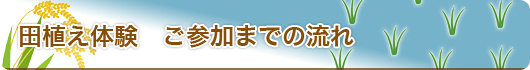 田植え体験ご参加までの流れ