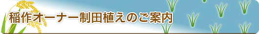 稲作オーナー制のご案内