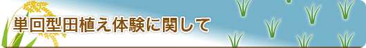 単回型田植え体験に関して