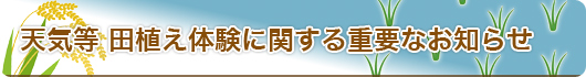 田植え体験に関する重要なお知らせ