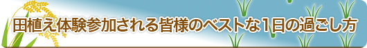 田植え体験参加される皆様のベストな1日の過ごし方とは?