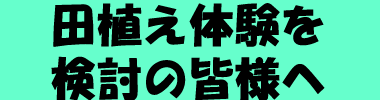 田植え体験を検討の皆様へ