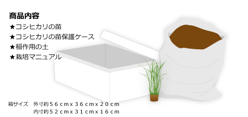 ミニ田んぼを育てよう 懐かしい景色を自宅で体験してみませんか